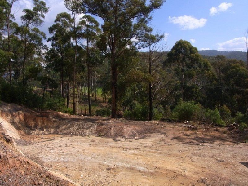 L242 Florabunda Lane, Nethercote NSW 2549