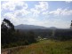 L242 Florabunda Lane, Nethercote NSW 2549