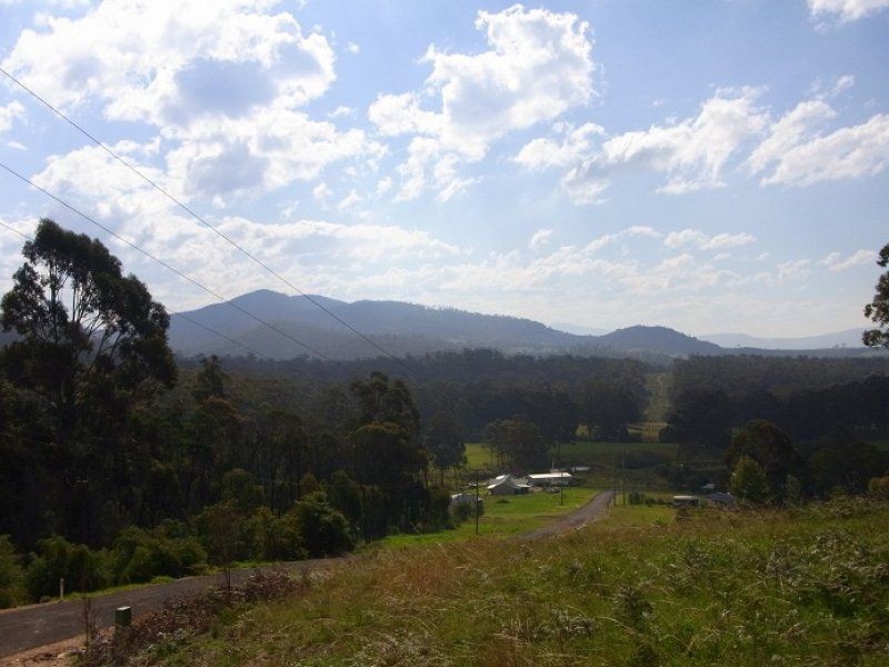 L242 Florabunda Lane, Nethercote NSW 2549