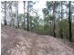L242 Florabunda Lane, Nethercote NSW 2549