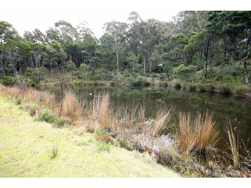 433 Myrtle Mountian Road, Wyndham NSW 2550