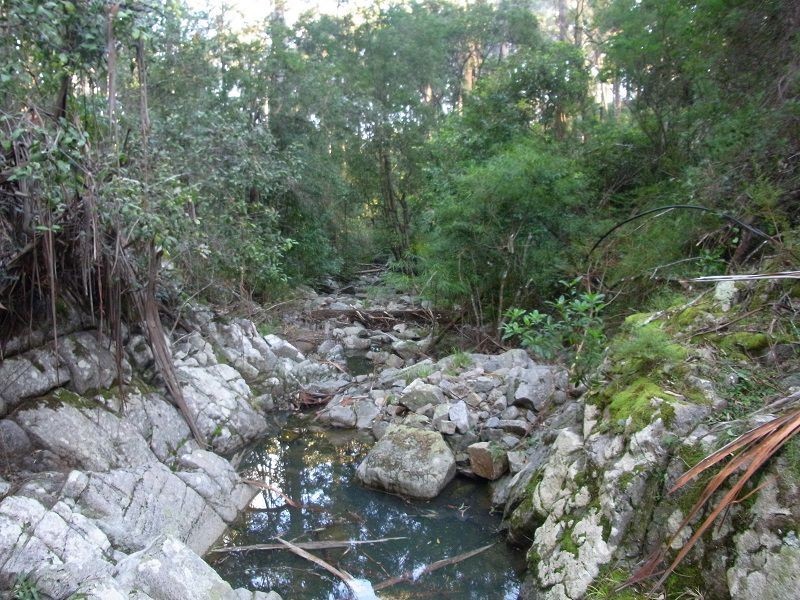 433 Myrtle Mountian Road, Wyndham NSW 2550