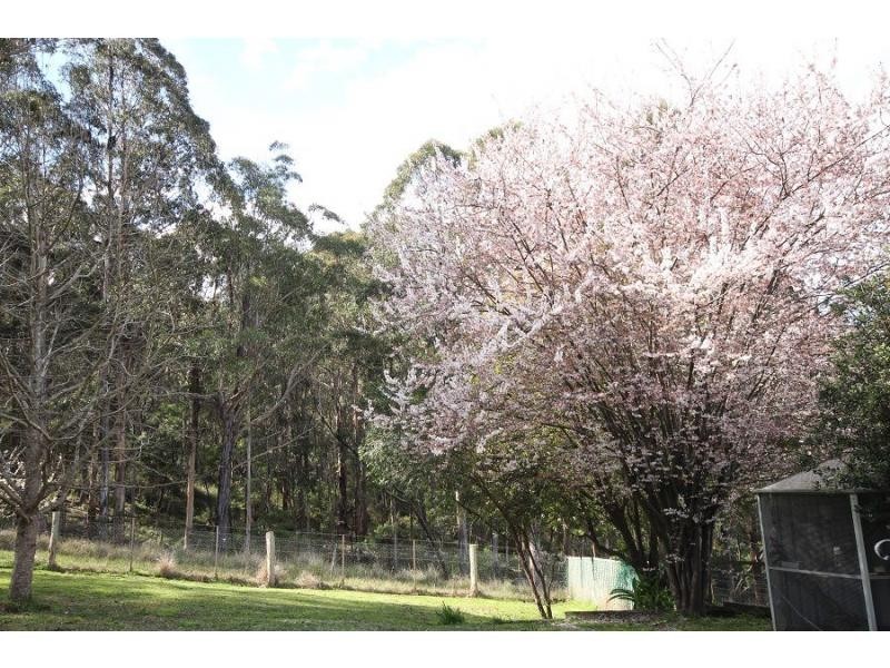 433 Myrtle Mountian Road, Wyndham NSW 2550