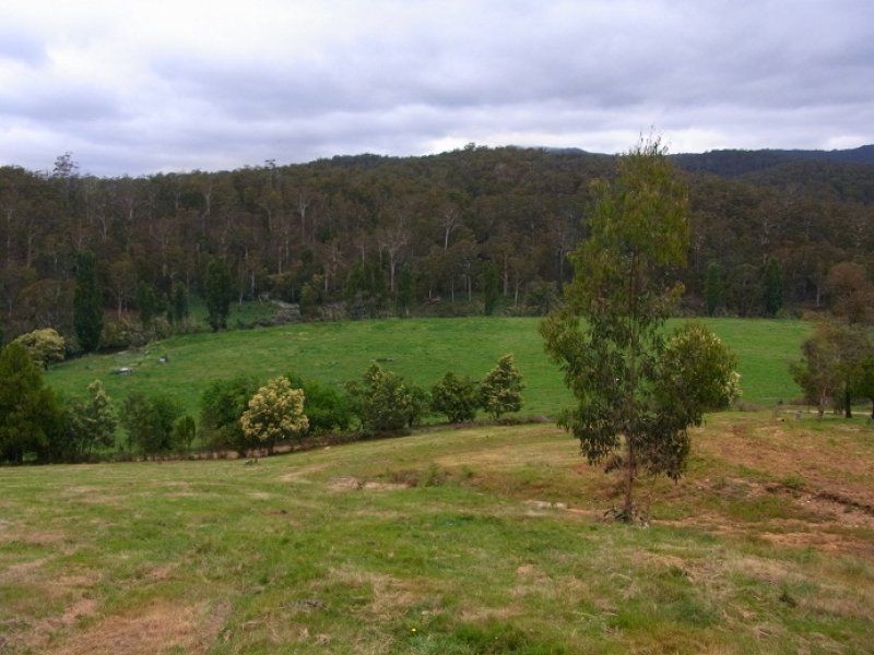 1746 Lower Towamba Road, Kiah NSW 2551