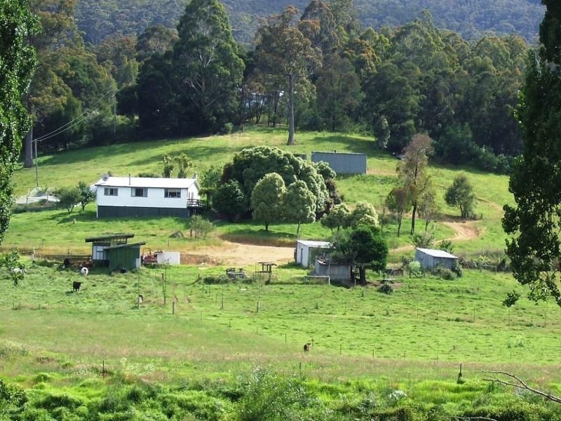 1746 Lower Towamba Road, Kiah NSW 2551