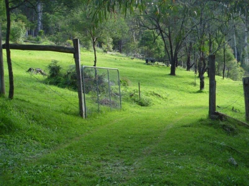 369 Devils Hole Road, Wyndham NSW 2550