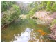 369 Devils Hole Road, Wyndham NSW 2550