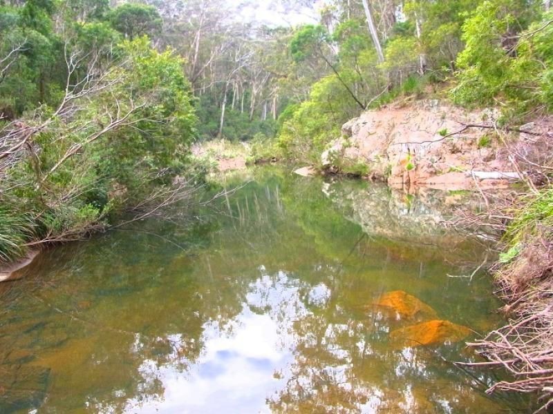 369 Devils Hole Road, Wyndham NSW 2550