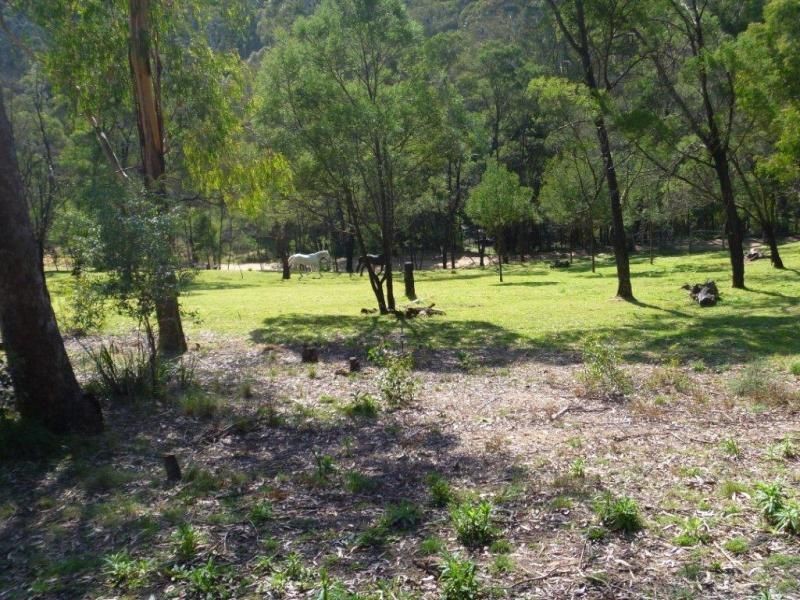 369 Devils Hole Road, Wyndham NSW 2550