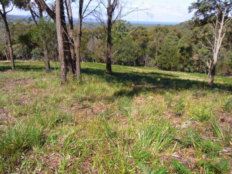 Lot 4 Arunda Lane, Wonboyn NSW 2551