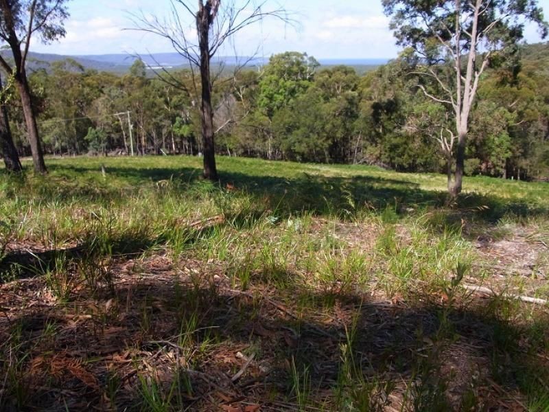 Lot 4 Arunda Lane, Wonboyn NSW 2551