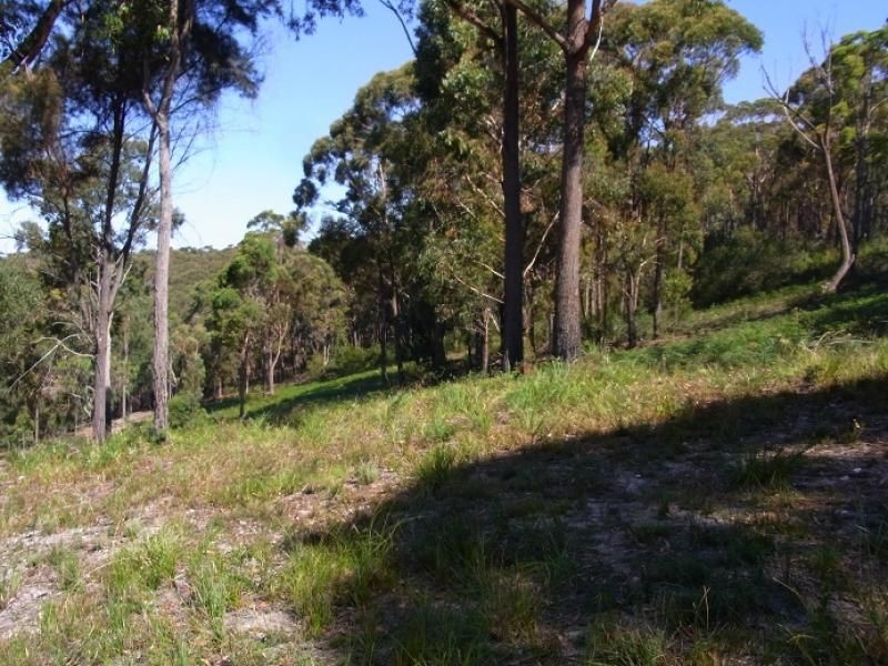 Lot 4 Arunda Lane, Wonboyn NSW 2551