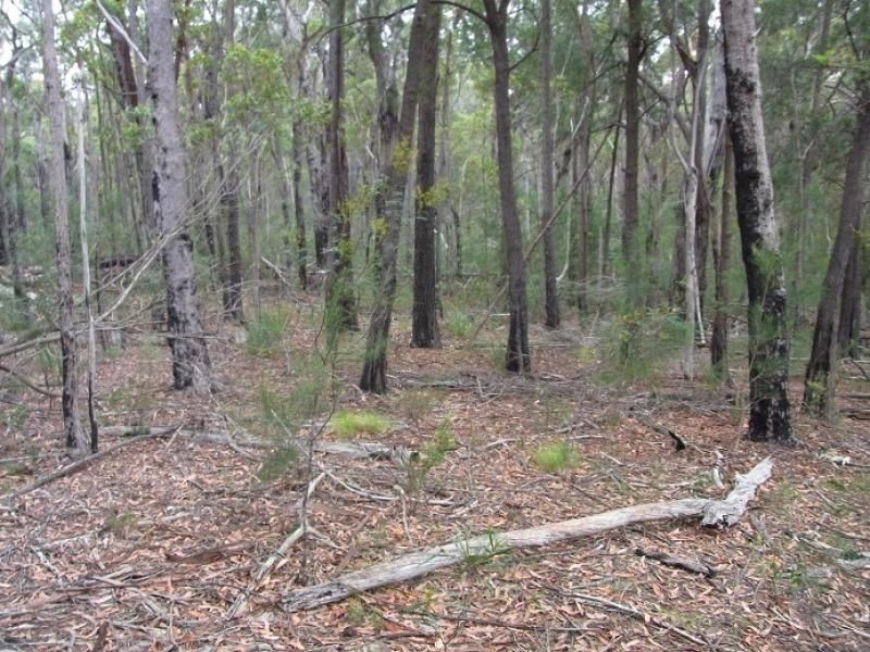 L963 Mt Darragh Road, Lochiel NSW 2549