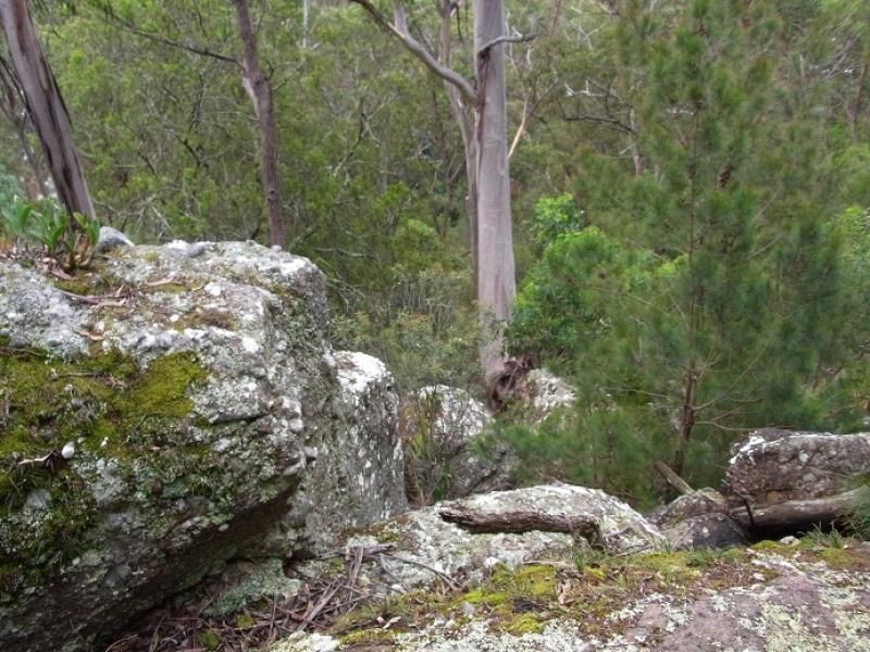 L963 Mt Darragh Road, Lochiel NSW 2549