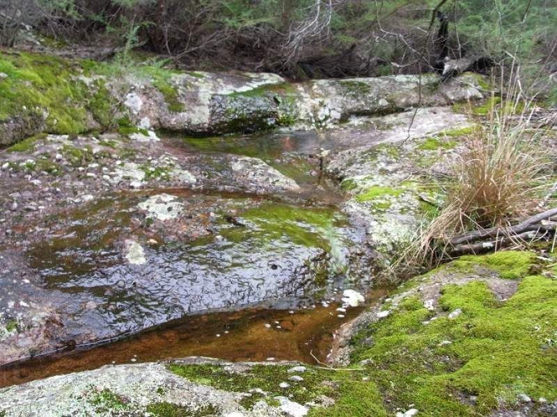 L963 Mt Darragh Road, Lochiel NSW 2549