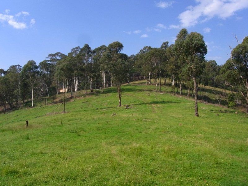 Lot 243 Florabunda Lane, Nethercote NSW 2549