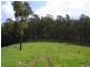 Lot 243 Florabunda Lane, Nethercote NSW 2549