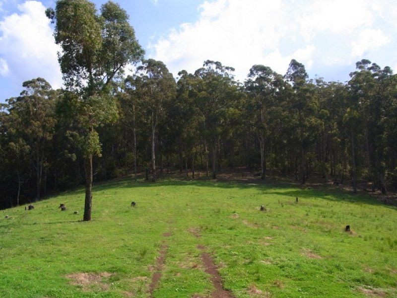Lot 243 Florabunda Lane, Nethercote NSW 2549