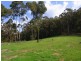 Lot 243 Florabunda Lane, Nethercote NSW 2549