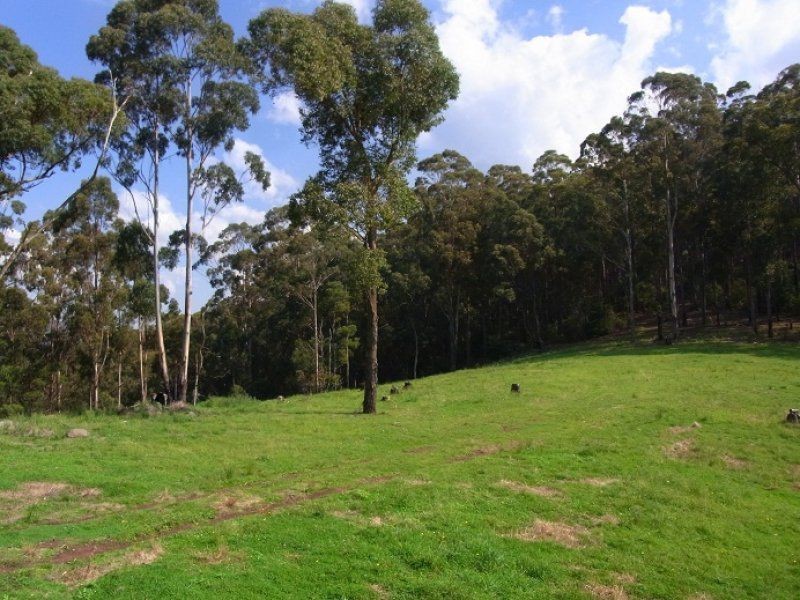 Lot 243 Florabunda Lane, Nethercote NSW 2549