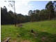 Lot 243 Florabunda Lane, Nethercote NSW 2549