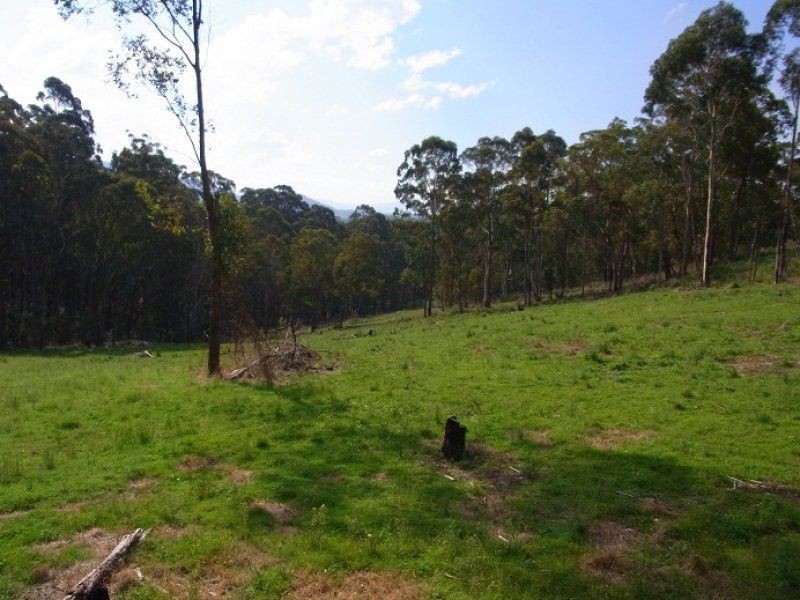 Lot 243 Florabunda Lane, Nethercote NSW 2549