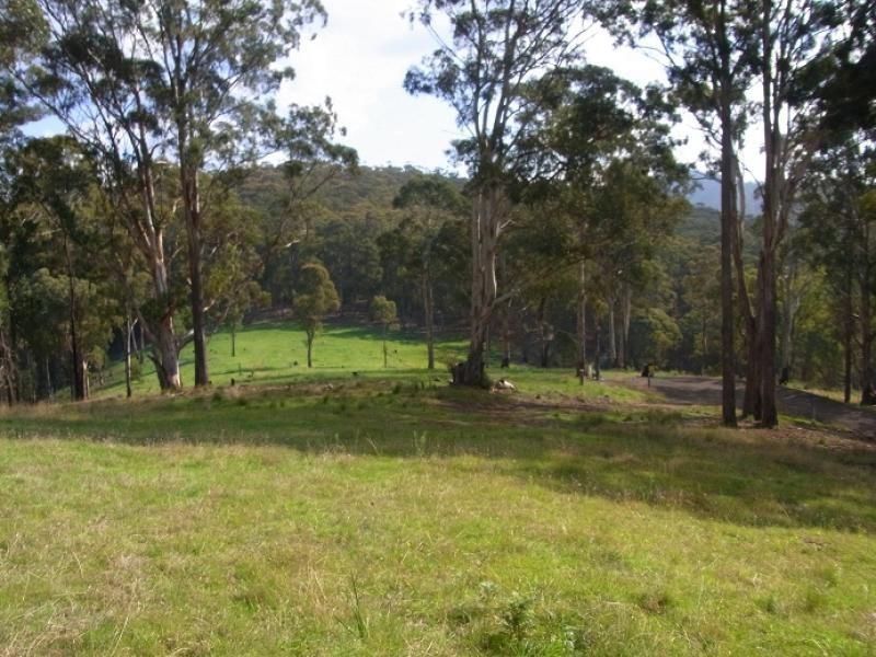 L244 Florabunda Lane, Nethercote NSW 2549
