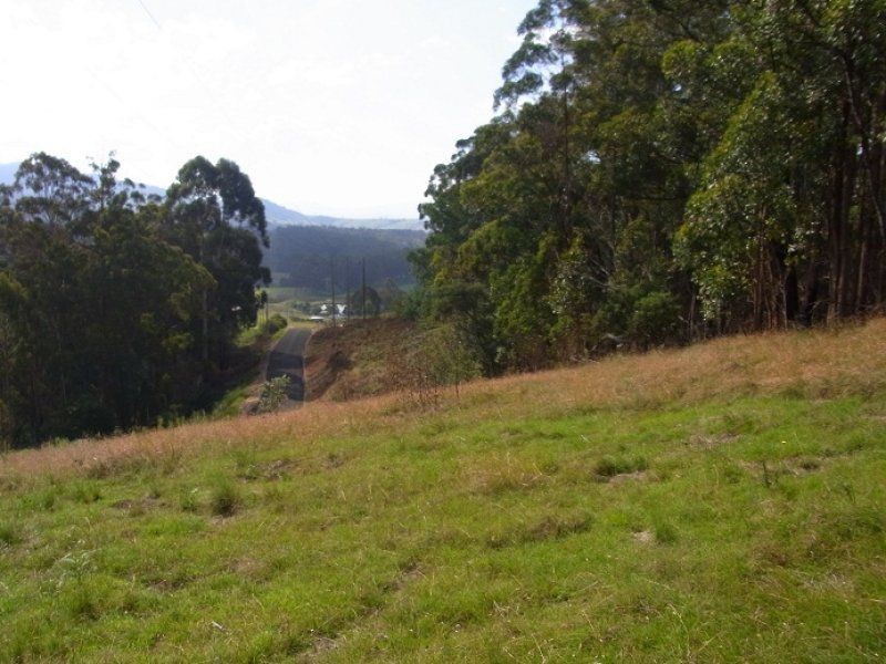 L244 Florabunda Lane, Nethercote NSW 2549