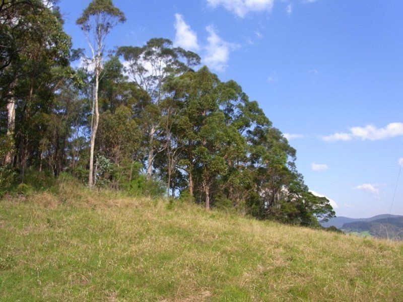L244 Florabunda Lane, Nethercote NSW 2549