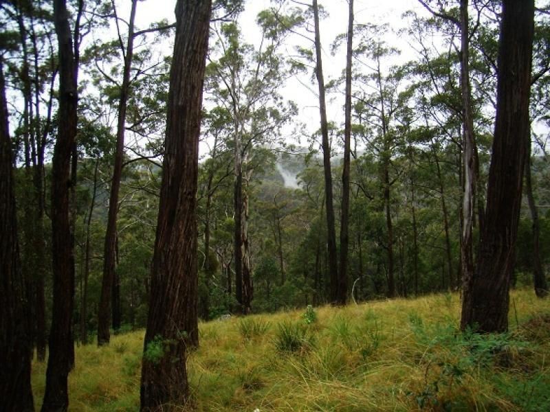 Lot 196 Mt Darragh Road, Wyndham NSW 2550