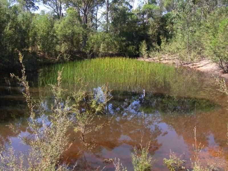 52 Mcdonald Road, Towamba NSW 2550