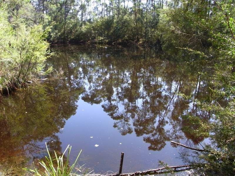 52 Mcdonald Road, Towamba NSW 2550