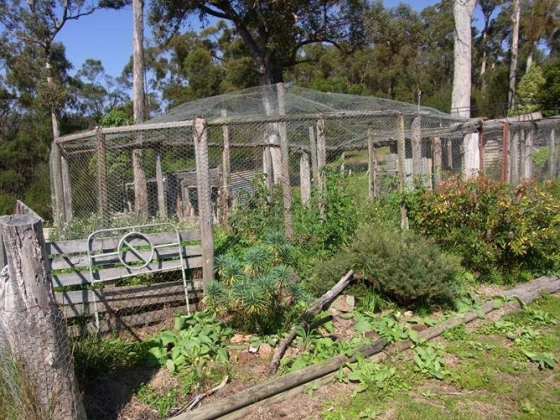 52 Mcdonald Road, Towamba NSW 2550