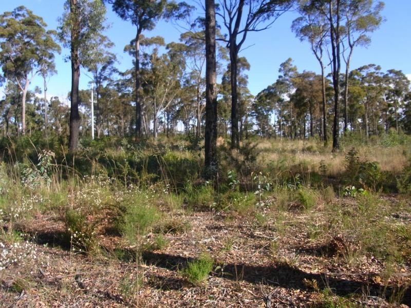 Lot 3 Grenenger Road, Pambula Lake Estate, Greigs Flat NSW 2549