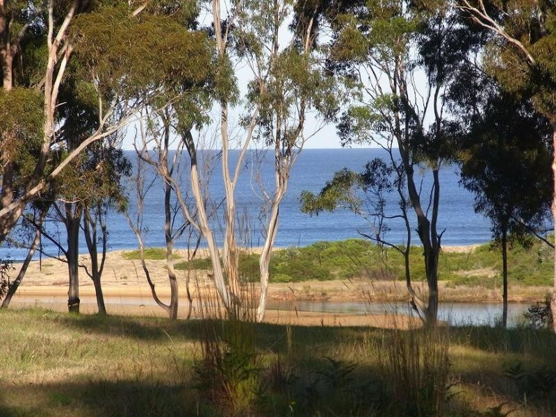 L229 Marlin Avenue, Eden NSW 2551