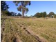 L229 Marlin Avenue, Eden NSW 2551