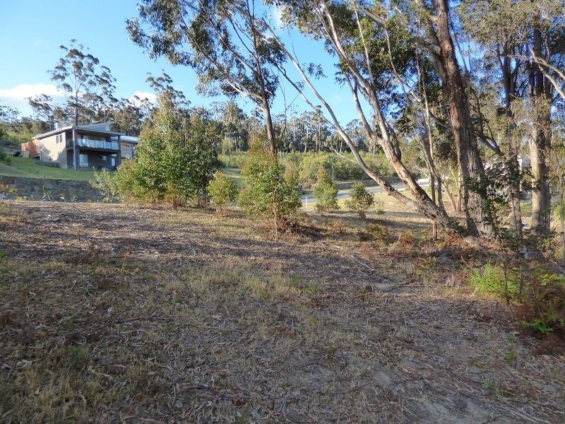 Lot 517 KB Timms Drive, Eden NSW 2551