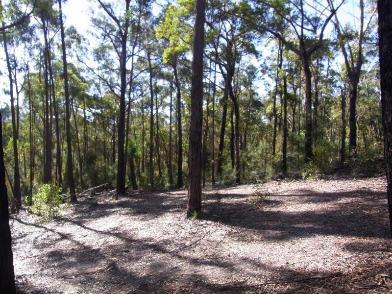 L961 Mt Darragh Road, Lochiel NSW 2549