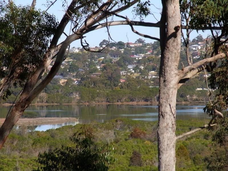 14 Trumpeter Avenue, Eden NSW 2551