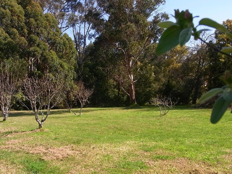 31 West Street, Eden NSW 2551