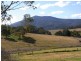176 Pericoe Road, Towamba NSW 2550