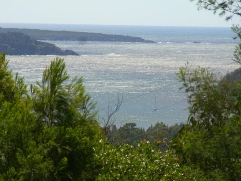 203 Yarran Road, Boydtown NSW 2551