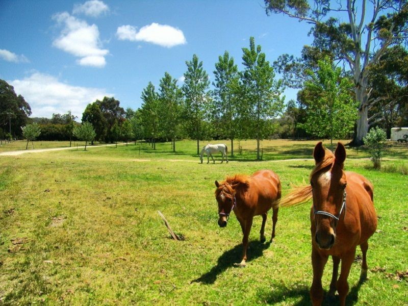 3 George Brown Street, Eden NSW 2551