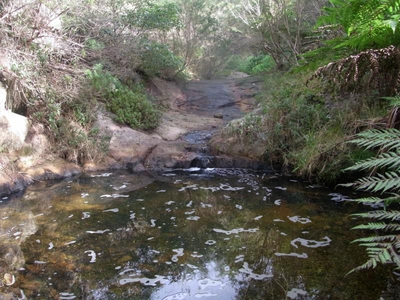 L5 Oceanview Drive, Lochiel NSW 2549