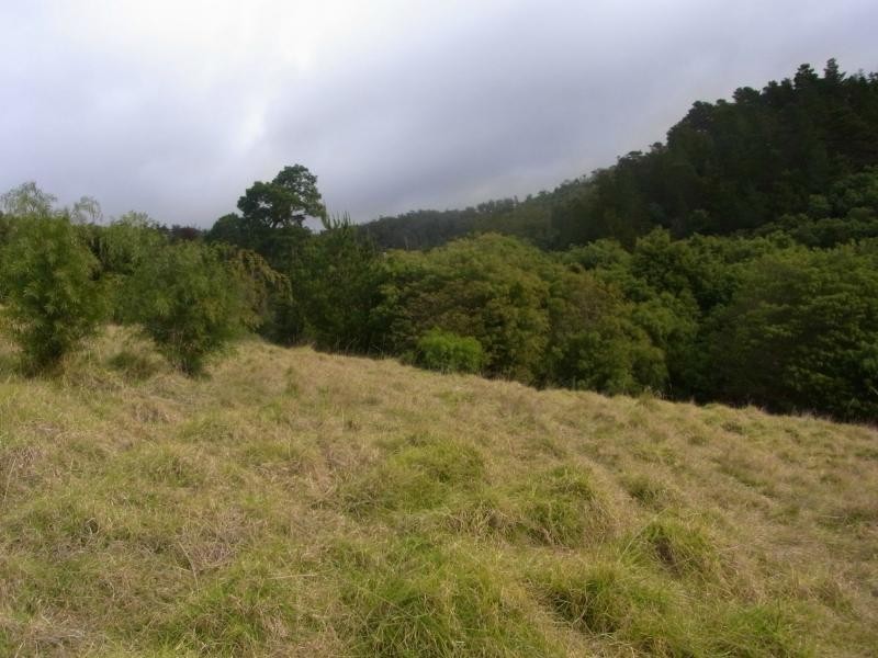 L5 Oceanview Drive, Lochiel NSW 2549