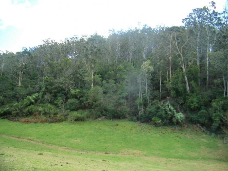 Portion 46 The Snake Track, Kiah NSW 2551