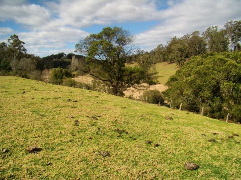 Portion 46 The Snake Track, Kiah NSW 2551