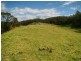 Portion 46 The Snake Track, Kiah NSW 2551
