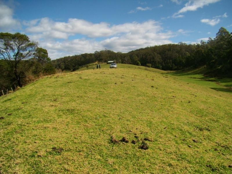 Portion 46 The Snake Track, Kiah NSW 2551