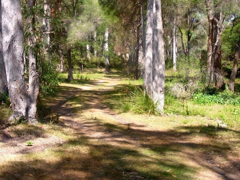PL2 Ivor Jones Drive, Wonboyn NSW 2551